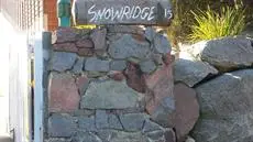 Snow Ridge 10 