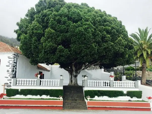 Casa Los Mangos Tijarafe