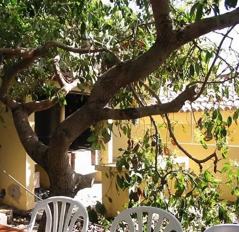 Casa Los Mangos Tijarafe