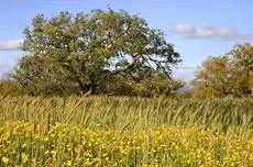 Sobreiras Alentejo Country Hotel 