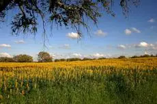 Sobreiras Alentejo Country Hotel 