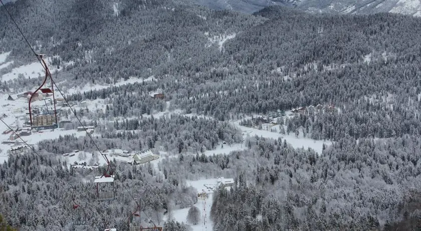 Mgzavrebi ApartHotel Bakuriani 