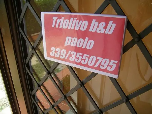 Triolivo B&B 