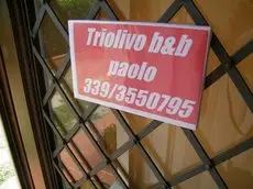 Triolivo B&B 