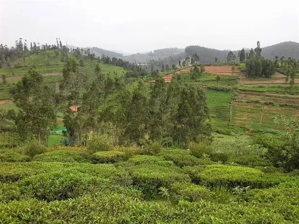 Mountain Top Holiday Home Ooty 