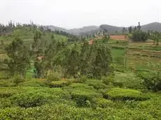 Mountain Top Holiday Home Ooty 