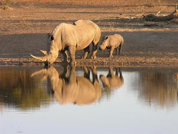 Etali Safari Lodge 