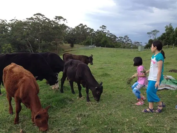 Bellview Maleny 