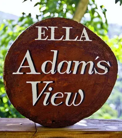 Ella Adam's View