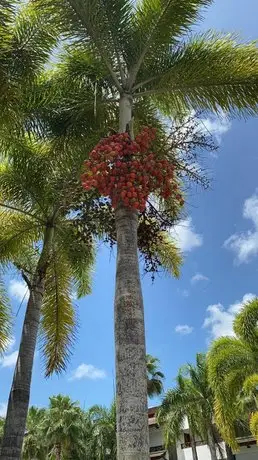 Balcones del Atlantico El Limon