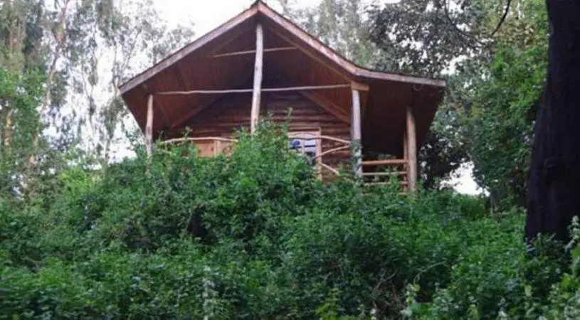 Lake Bunyonyi Eco Resort