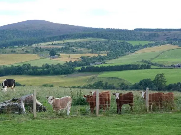 Broomhead Cottages 