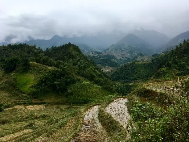 Botanic Sapa Hotel 