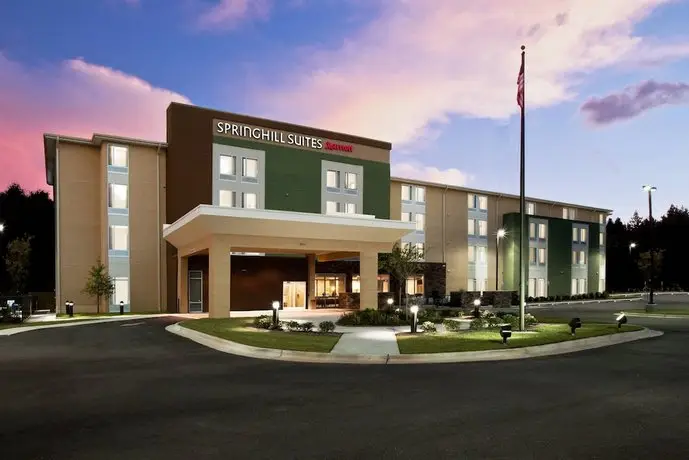 SpringHill Suites by Marriott Mobile West 