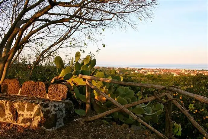 Il Limoneto Acireale 