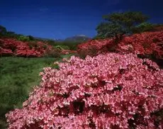 Kyukamura Nasu 