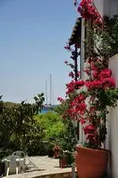 Michalis Apartments 