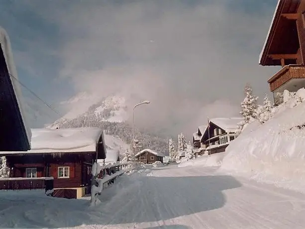 Apartment Chalet Spannortblick