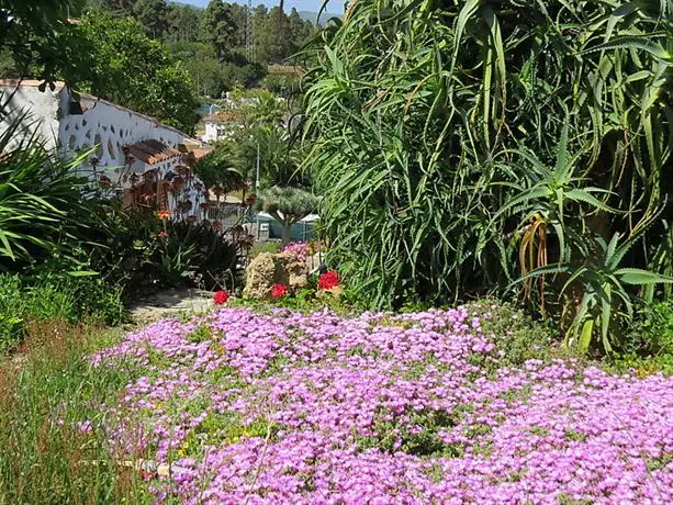 Finca Garachico Studio 