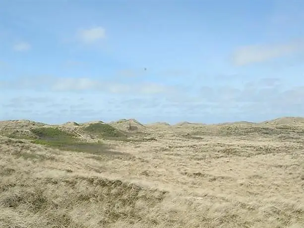 Eight-Bedroom Holiday home in Hvide Sande 