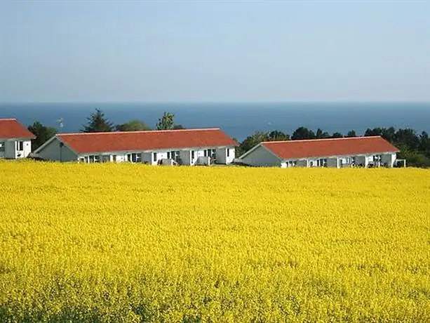 Sandkas Allinge Bornholm 