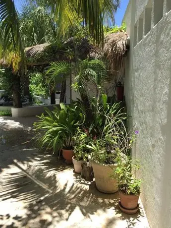 Mi Casa en Cozumel 