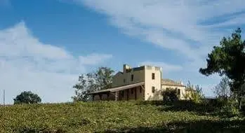 Masseria del Vino