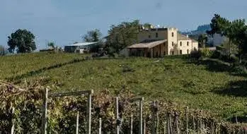 Masseria del Vino