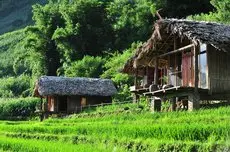 Eco Palms House - Sapa Retreat 