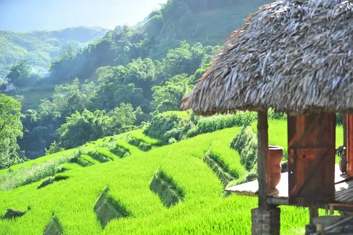 Eco Palms House - Sapa Retreat 