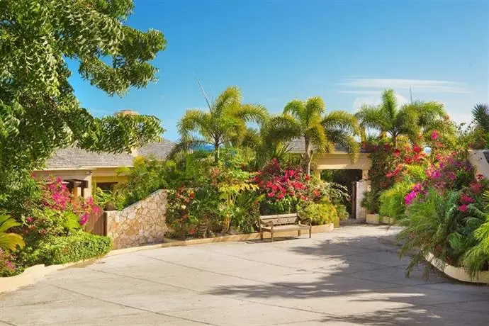 Anguilla's Bird of Paradise