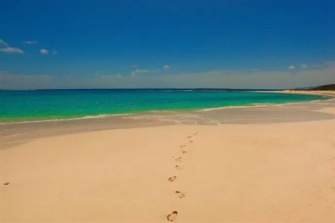 Anguilla's Bird of Paradise 