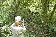 Sanctuary Gorilla Forest Camp 