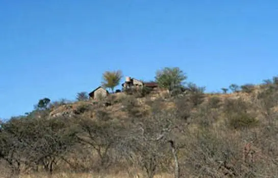 aloe leave Aloe Blue Elf