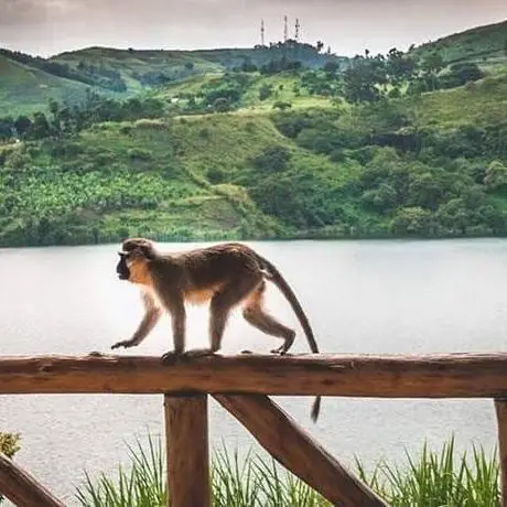 Crater Safari Lodge 