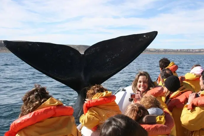 Bahia Delfines