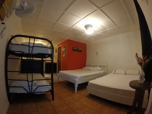 Beds on Bohio Hostel
