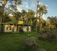 Neelakurunji Plantation Munnar 