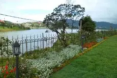 Tea Plant Nuwara Eliya 