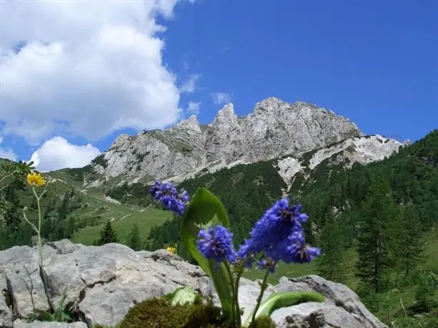 Mobile Homes Naturpark Schluga Seecamping 