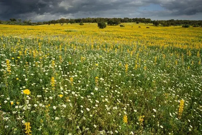 Herdade da Paz 