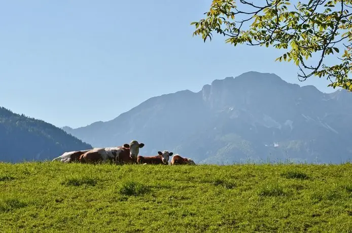 Ferienwohnungen Woferllehen 