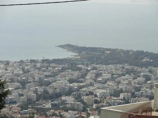 Athens Top Hill Sea View Villa 