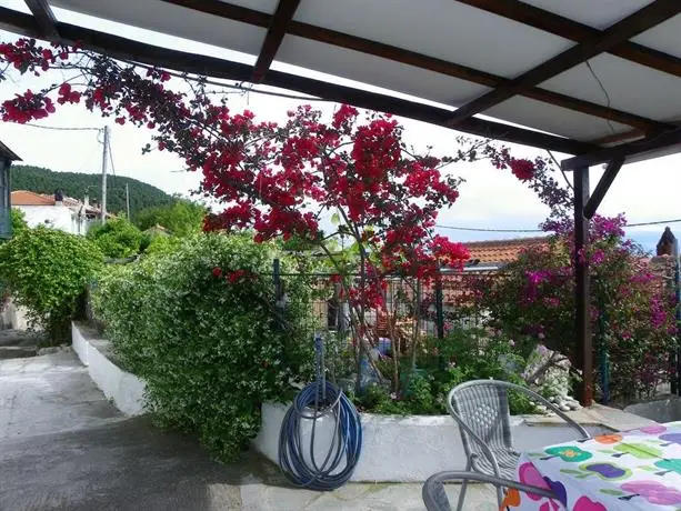 Green House Skopelos Island 