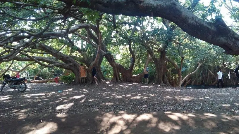 Chemka Hot Springs Campsite