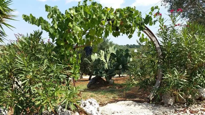 Trullo Tre Coni 