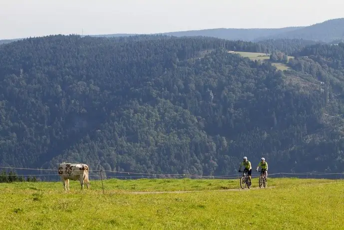 IB Jugendgastehaus Furtwangen 