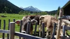 FW Weissensee 