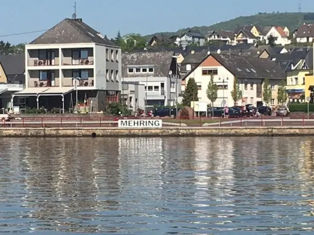 Weingut Endesfelder 