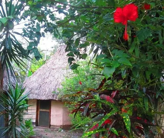 Chaya Maya Jungle Lodge